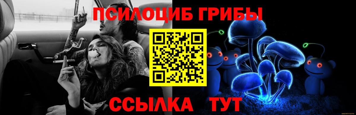 Псилоцибиновые грибы Magic Shrooms Ржев